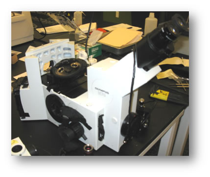 ix70 microscope